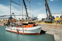 Trawler müügiks