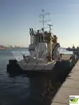 Töölaevad müügiks