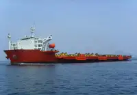 Puistekaubaveoalus müügiks