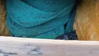 Traaler müügiks