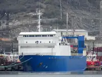 Puistekaubaveoalus müügiks