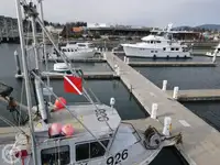 Pääepaat müügiks