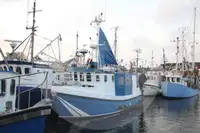 Elus kala vedav laev müügiks