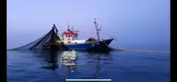 Trawler müügiks