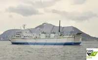 Ro-Ro ship müügiks