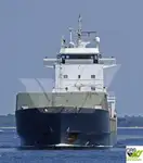 Puistekaubaveoalus müügiks