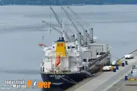 Puistekaubaveoalus müügiks