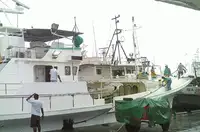 Longliner müügiks