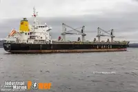 Puistekaubaveoalus müügiks