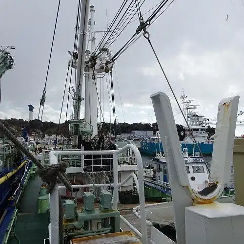 seiner müügiks
