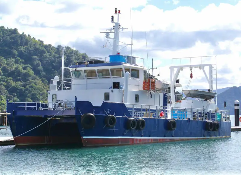 Katamaraan müügiks