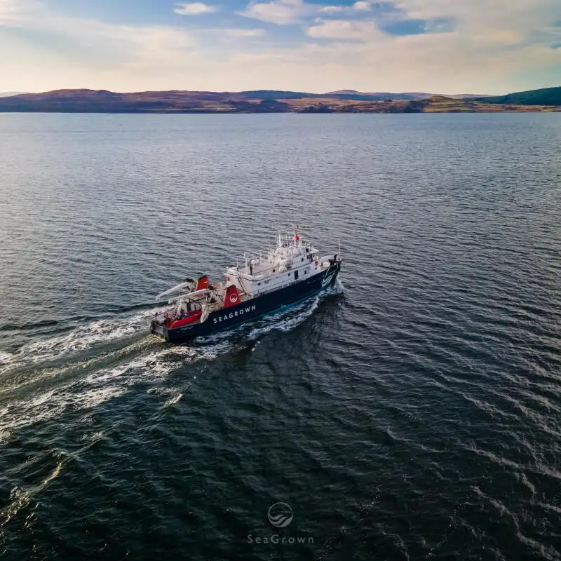 Uuringulaev müügiks