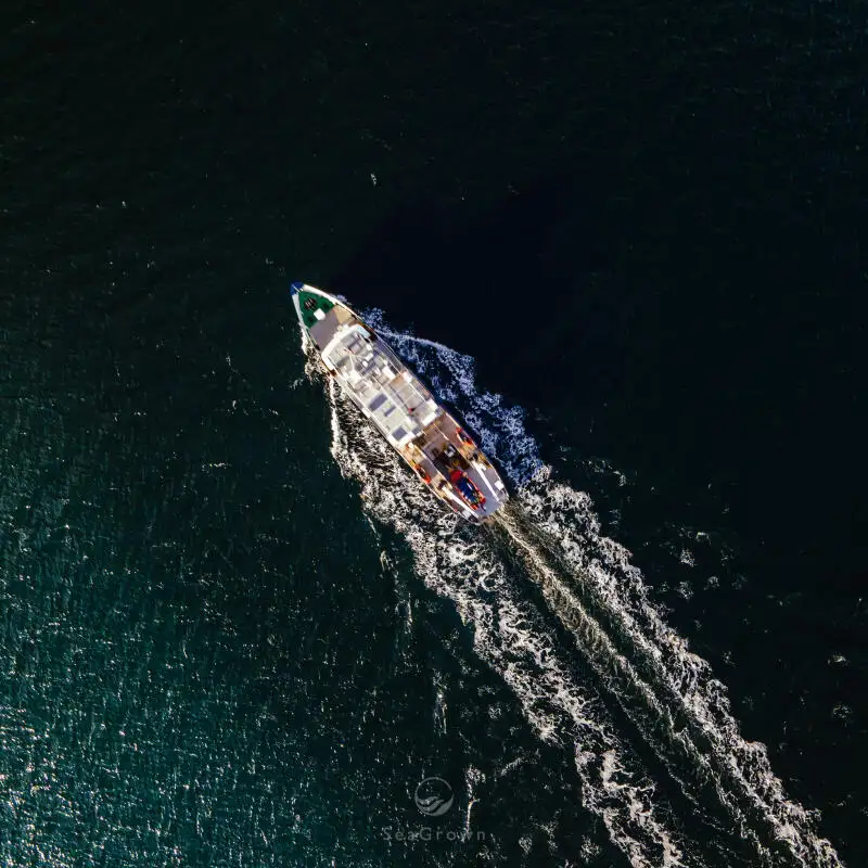 Uuringulaev müügiks