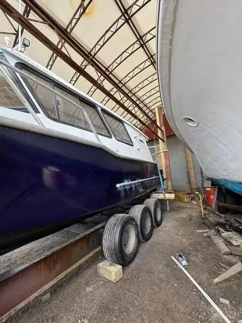 Kalatraaler müügiks