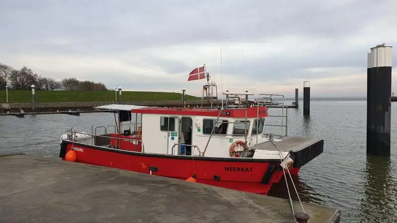 Katamaraan müügiks