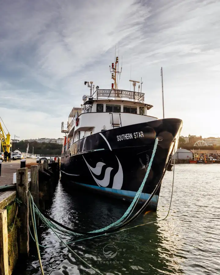 Uuringulaev müügiks