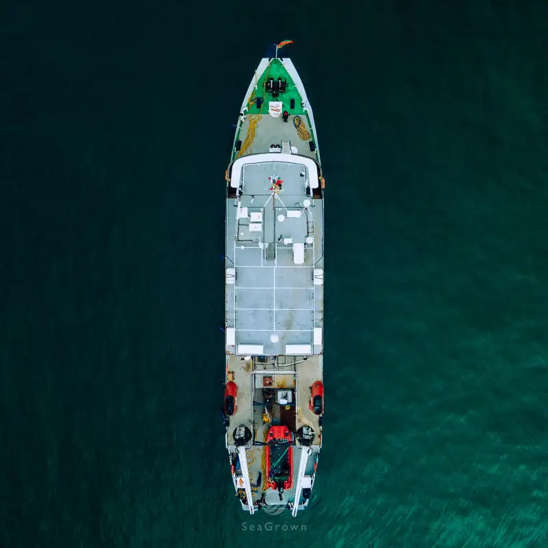 Uuringulaev müügiks