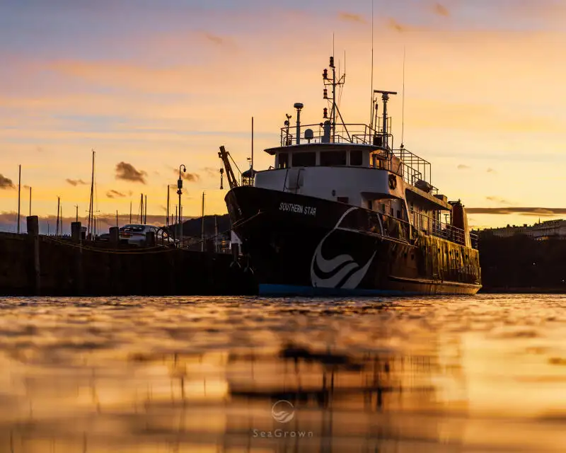 Uuringulaev müügiks