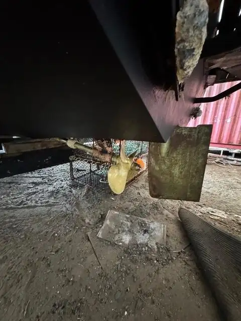 Kalatraaler müügiks