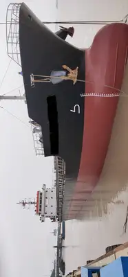 Bulk carrier for sale
