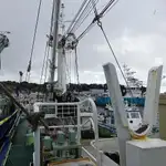 seiner müügiks