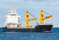 Puistlastilaev müügiks