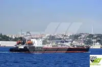 Puistlastilaev müügiks