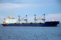 Puistlastilaev müügiks