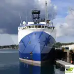 Uuringulaev müügiks