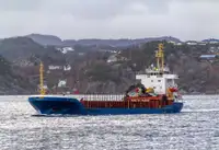 Puistlastilaev müügiks