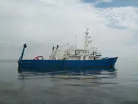 Mitmeotstarbeline müügiks
