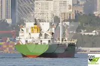 Puistlastilaev müügiks