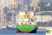 Puistlastilaev müügiks