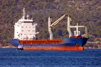 Puistlastilaev müügiks