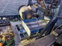 Vanametall müügiks