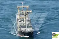 Puistlastilaev müügiks