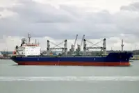 Puistlastilaev müügiks