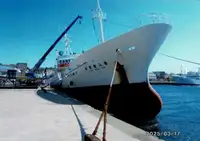 Kalatraaler müügiks