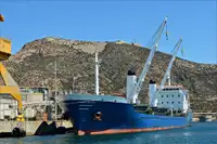 Puistlastilaev müügiks