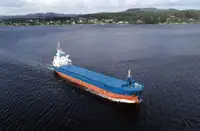 Puistlastilaev müügiks