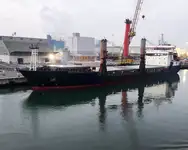 Puistlastilaev müügiks