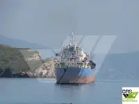 Puistlastilaev müügiks