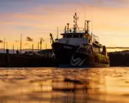 Uuringulaev müügiks