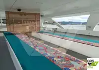 Mootorlaev müügiks